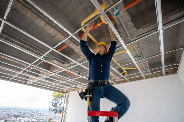 Best Plumbing Repair Near Me  in Rice, MN