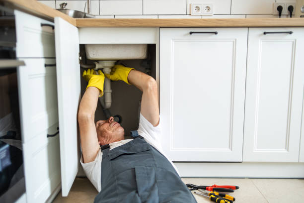 Best Residential Plumbing Services  in Rice, MN