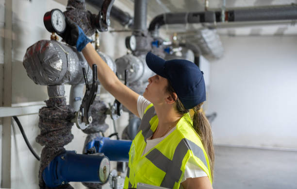 Best Toilet Repair Services  in Rice, MN